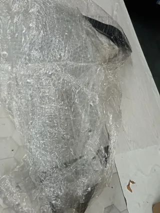 Frankberg Guardabarros Delantero Derecho