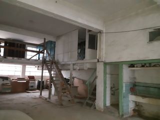 Pabellón local comercial