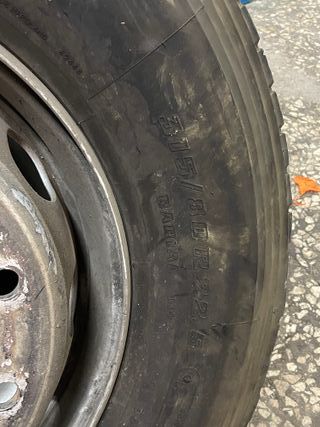 Ruedas Gemelas Camión 315/80 R22.5