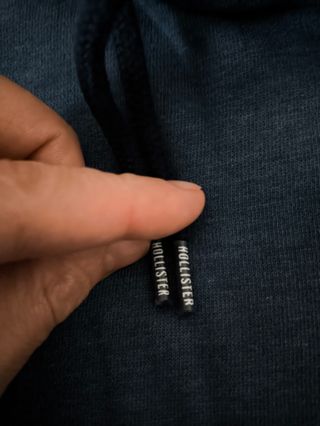 Hollister Must Have collection felpa hoodie