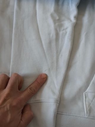 Hollister Must Have collection felpa hoodie