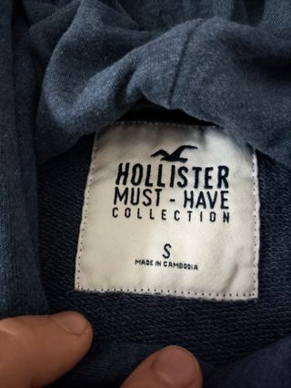 Hollister Must Have collection felpa hoodie