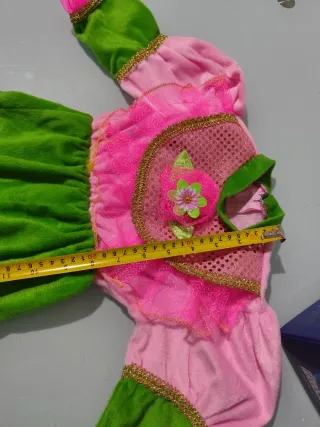 Vestito Carnevale Bambina Rosa e Verde