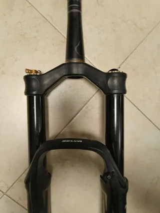 Forcella Formula SELVA 35