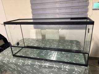 Terrario de cristal 1 metro largo 0,31 ancho
