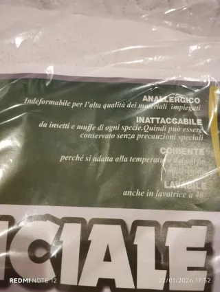 2 Guanciali Aloe - Made in Italy