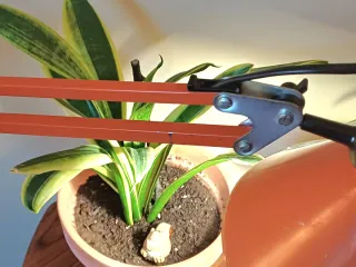 Lámpara flexo vintage naranja años 70