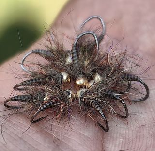 NINFAS PARA LA PESCA DE TRUCHAS