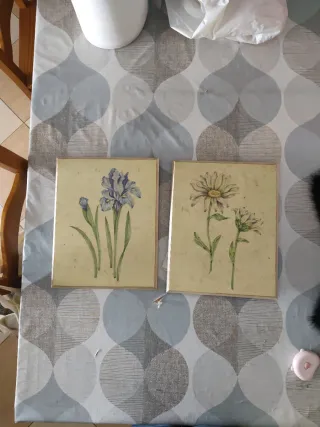 Cuadros motivos florales 29x36