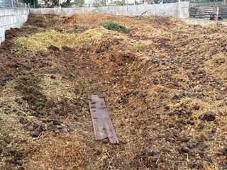 Estiércol de caballo gratis