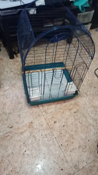 Jaula para loros y agapornis y ninfas
