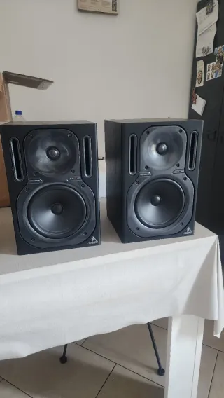 Behringer Truth B2030A 2°Monitor Attivo