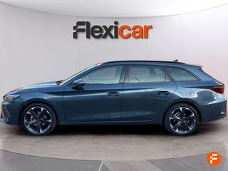 Cupra León SP 1.5 eTSI 110kW (150CV) DSG