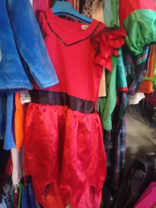 Disfraces Carnaval Talla Única