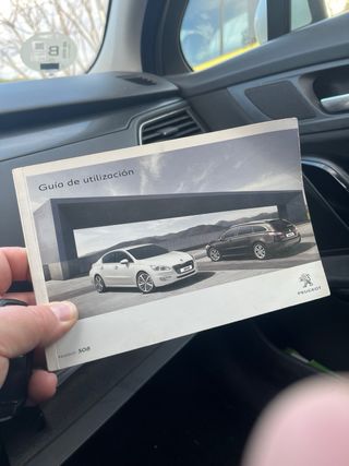 Peugeot 508 Plata cristales tintados 640931502