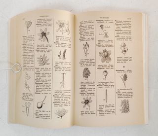 Flore descriptive et illustrée de la France. 3 tom