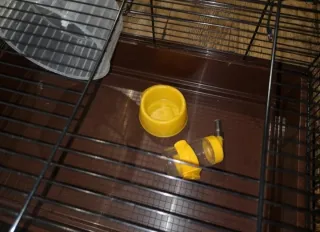 Gabbia per criceti con accessori