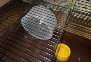 Gabbia per criceti con accessori