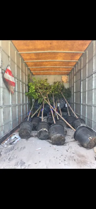 Se hacen portes y mudanzas