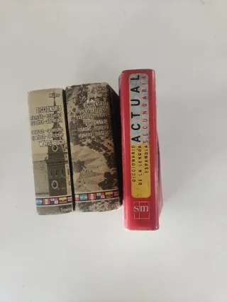 6 diccionario.Alemán. francés.español.Galego.Ingle