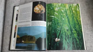 Enciclopedia Planeta de la fotografía