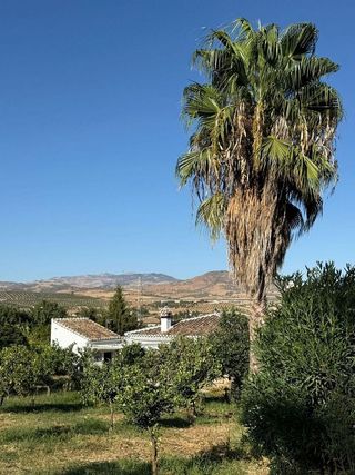 Casa rural en venta en Álora