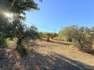 Casa rural en venta en Álora