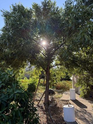 Casa rural en venta en Álora