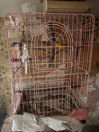 Jaula grande para loros