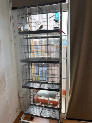 Jaulas de cría con soporte