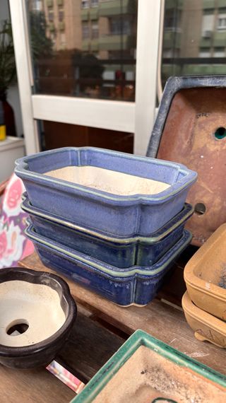 Lotes de tiestos para bonsái