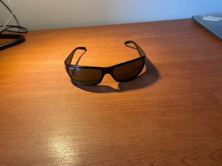 Gafas de Sol Ray-Ban Negras y Marrones