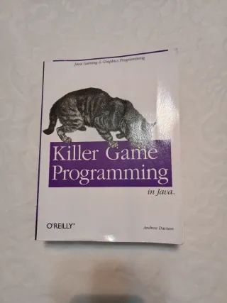 Killer Game Programming in Java