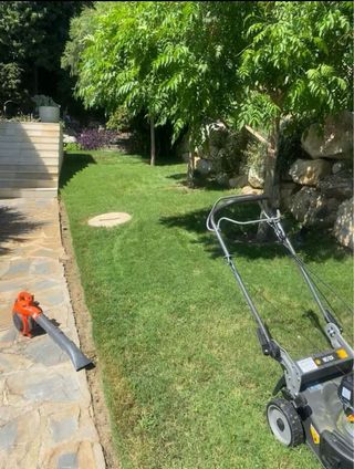 Servicios de Jardinería y Mantenimiento