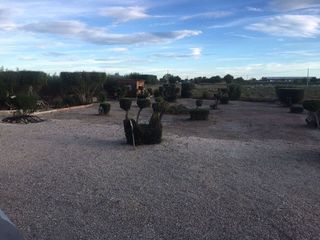 Chalet en venta en Dolores