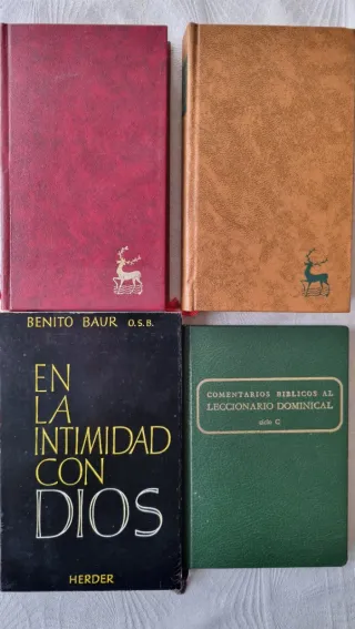 Vaticano II. Documentos y Comentarios Bíblicos