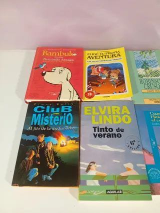 Lote libros juveniles