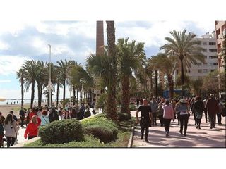 Local comercial en alquiler en Parque Mediterráneo - Santa Paula en Málaga