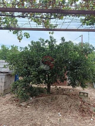 Terreno en venta en Cártama