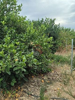 Terreno en venta en Cártama