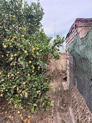 Terreno en venta en Cártama