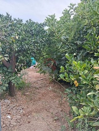 Terreno en venta en Cártama