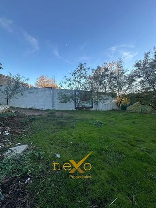 Nave industrial en venta en Carmona