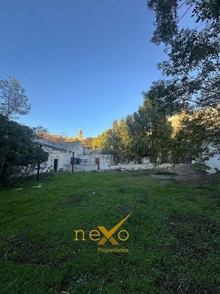 Nave industrial en venta en Carmona