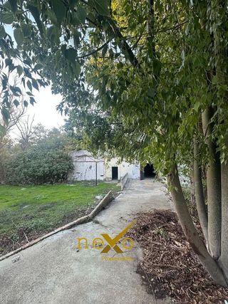 Nave industrial en venta en Carmona