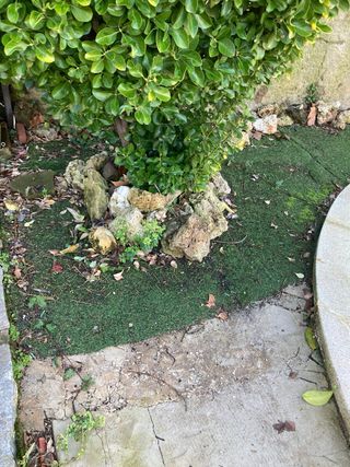 Rocalla decorativa para jardín