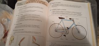 conocimiento del medio, primaria 5