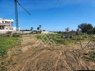 Terreno en venta en Sotogrande Alto en San Roque