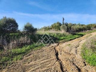 Terreno en venta en Sotogrande Alto en San Roque