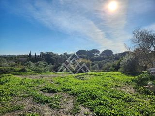 Terreno en venta en Sotogrande Alto en San Roque